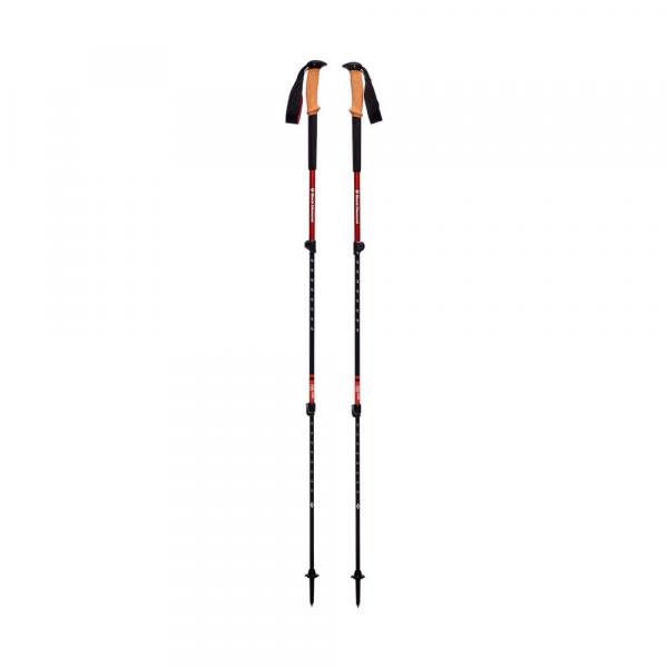 Kije trekkingowe Black Diamond Cork (x2)