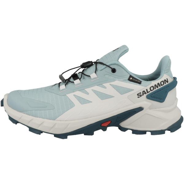Buty do biegania damskie Salomon Supercross 4 Gtx