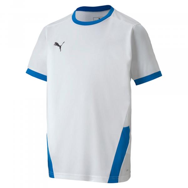 Koszulka dla dzieci Puma teamGOAL 23 Jersey