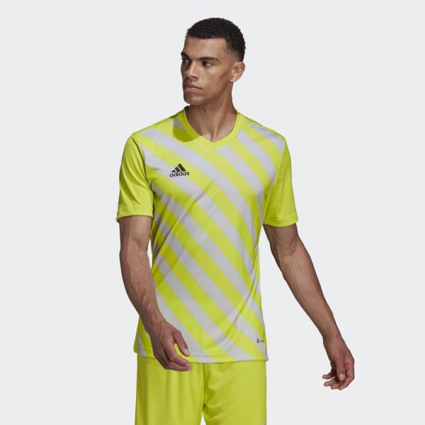 Jersey adidas Entrada 22 Graphic