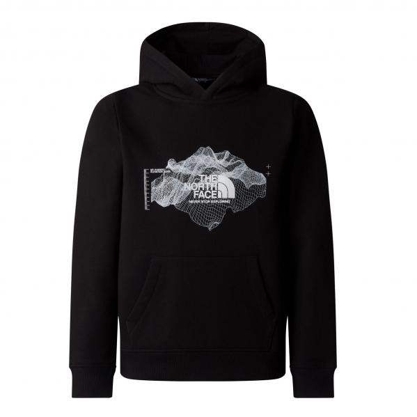 Bluza The North Face Topographic Regular