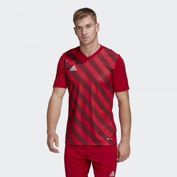 Jersey adidas Entrada 22 Graphic