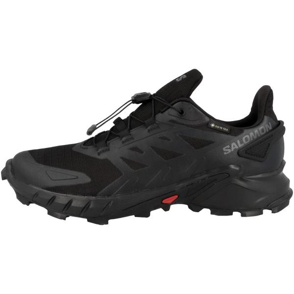 Buty do biegania męskie Salomon Supercross 4 Gtx W