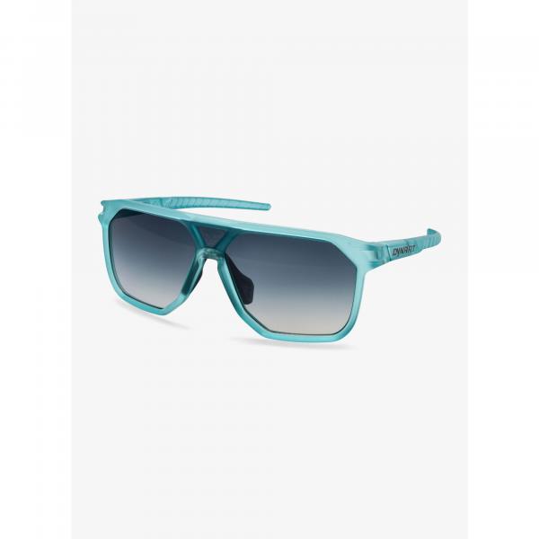 Okulary przeciwsłoneczne Dynafit Traverse Sunglasses - puritan grey/blueberry