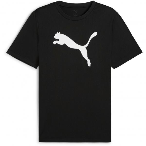 Koszulka Puma Ess Poly Tee, Mężczyźni
