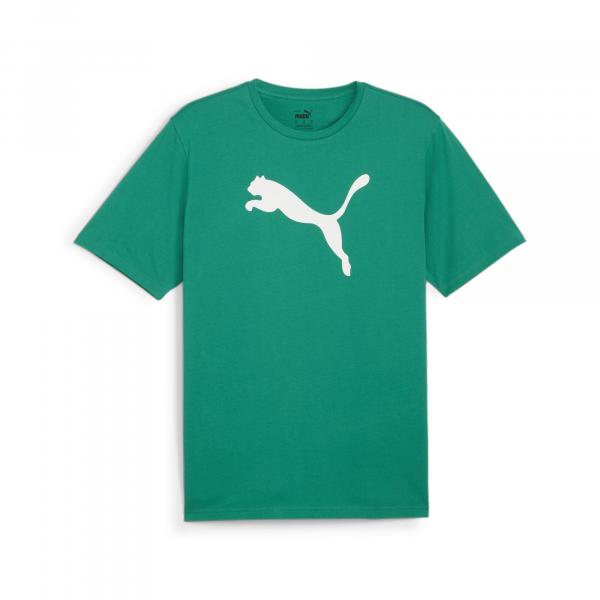 Koszulka męska Puma Team Rise Logo Jersey Cotton