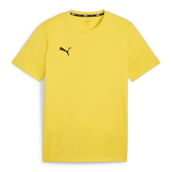 Koszulka męska Puma Team Goal Casuals Tee