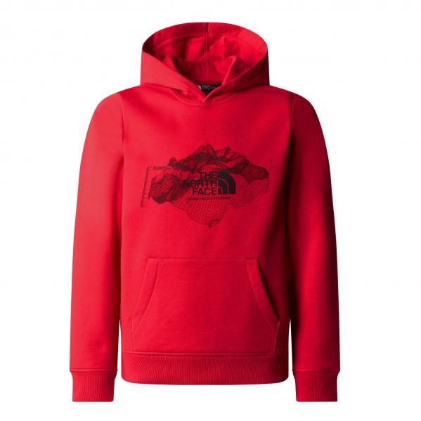 Bluza The North Face Topographic Regular