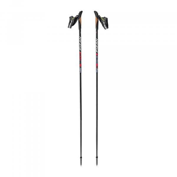 Kije nordic walking Fizan Lite