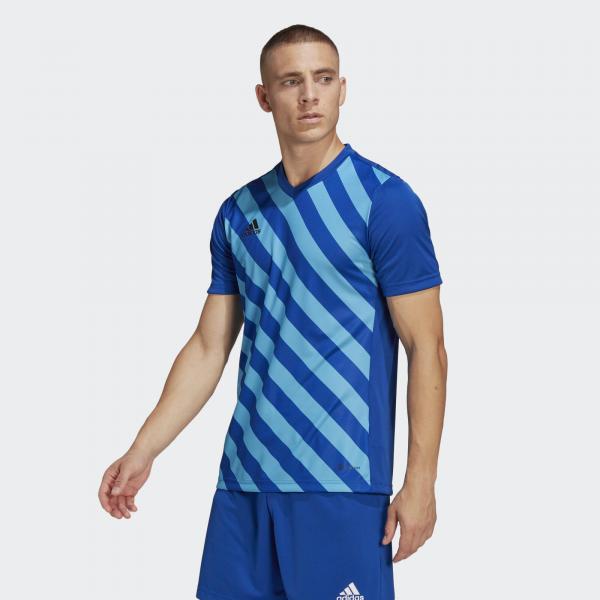 Jersey adidas Entrada 22 Graphic