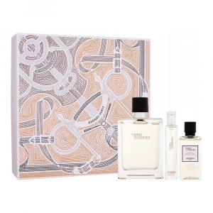 Hermes Terre d'Hermes zestaw - woda toaletowa 100 ml + woda toaletowa 15 ml + żel pod prysznic 40 ml