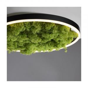 Lampa sufitowa GREEN RITUS 15391-66