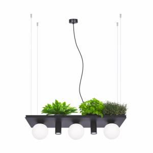 Lampa wisząca PLANT SHELF 5555